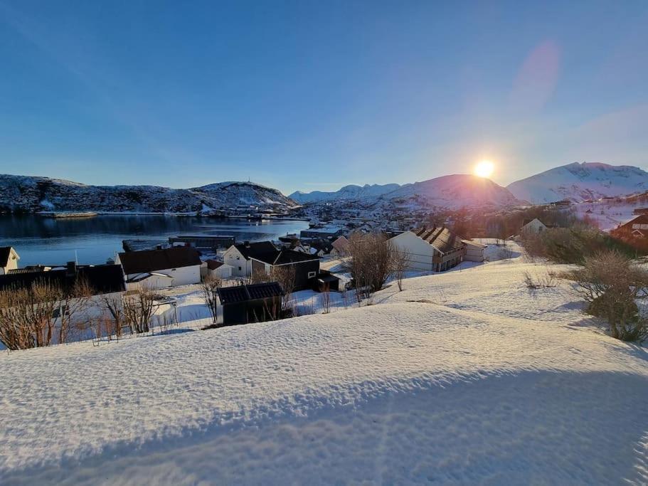 Nice House With A Great View! Skjervoy Екстериор снимка